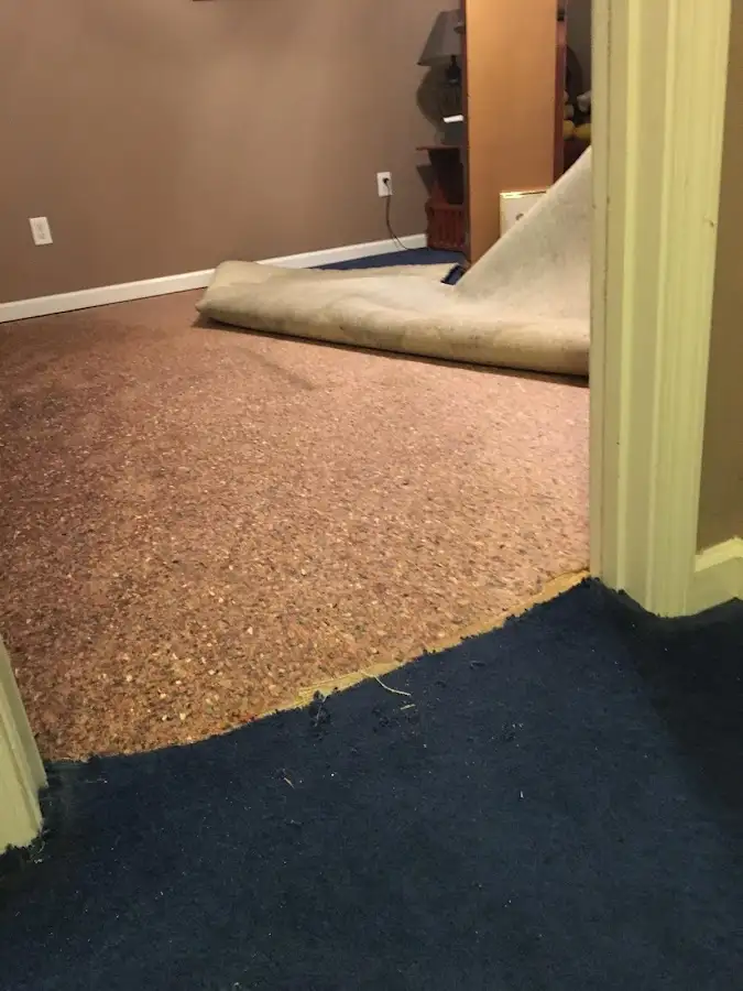 Carpet pad removal revealing water damage during Drying & Dehumidification in Franklin Town