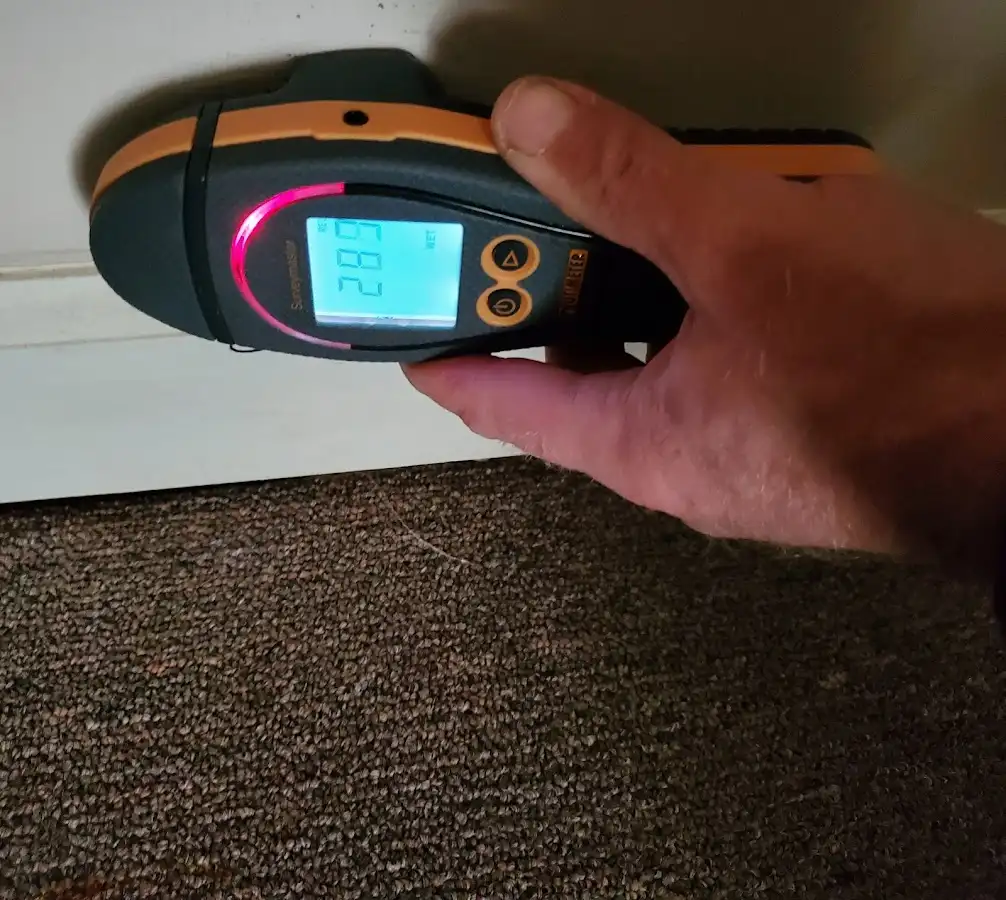 Moisture detection at baseboard during Sewage Cleanup & Sanitation in Franklin Town